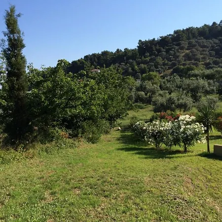 Prázdninový dům Kitty's House,country,olive Grove,private,quiet,views ,1 Km To ,sleeps 5 Skopelos