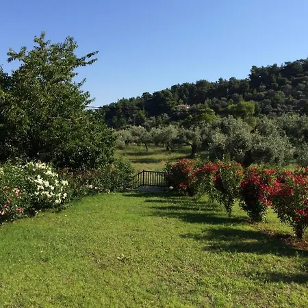 Prázdninový dům Kitty's House,country,olive Grove,private,quiet,views ,1 Km To ,sleeps 5 *
